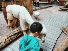 -首开·龙湖成都西宸天街