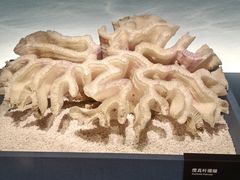 -中国湿地博物馆