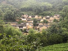 -杨家堂村
