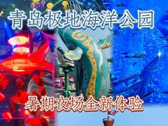-海合安青岛极地海洋公园