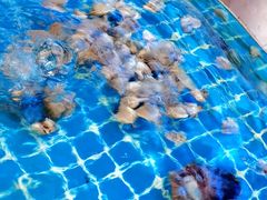 -东湖食堂·湖景餐厅•会议