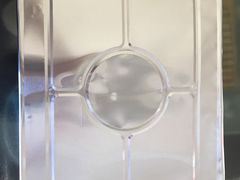 -锦尚阁烤鱼(望京新荟城店)