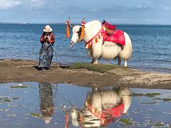 -青海湖国家重点风景名胜区