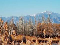 -野鸭湖国家湿地公园
