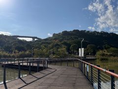 -飞凤山奥体公园