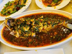 -月圆霖特色农家乐