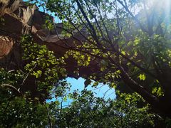 -北京密云天门山风景区