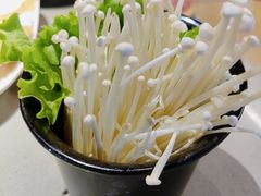 金针菇-渡娘火锅(大兴大悦春风里店)