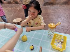 -杭州开元森泊度假乐园