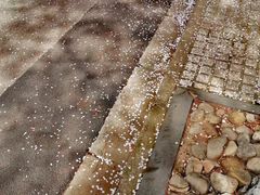 -同济大学(嘉定校区)