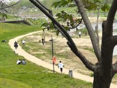 -洨河生态公园