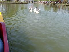 -木兰水镇旅游景区