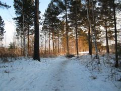 -北极村旅游风景区
