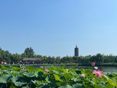 -西海子公园