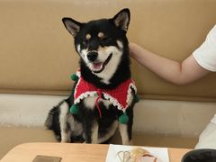 -柴の食堂·日式家庭料理·熊之肆(大学路店)