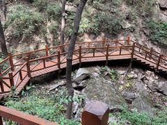 -大岭沟猕猴桃谷风景区