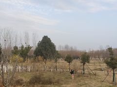 -滨湖塘西河公园