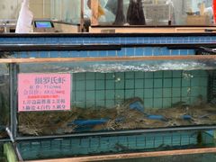 -荔城生鲜盛宴(番禺旗舰店)
