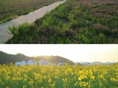-婺源风景区