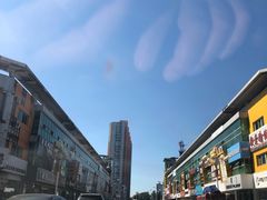 -华盛园卷子王农家菜水库鱼