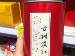 -鹏欣水游城
