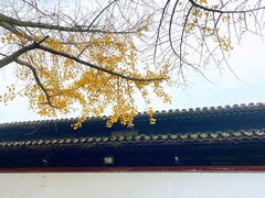 -西园戒幢律寺