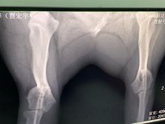 -达爱动物医院·犬猫分区·CT·复杂眼科(远洋山水分院)
