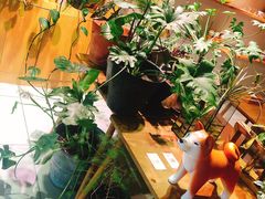 -柴务处·柴犬主题狗咖