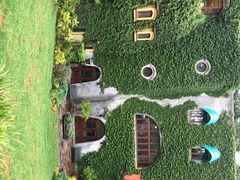 iphone_upload_pic-三鹰之森吉卜力美术馆