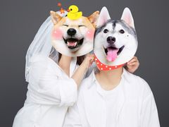 -海马体照相馆(北京大族广场店)