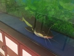 -胖姐烧烤(总店)