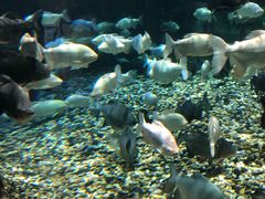 -成都浩海立方海洋公园