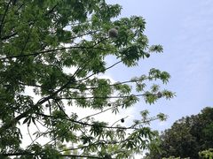 -天河体育中心