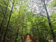 -青峰峡国家森林公园