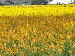 -中国天府农业博览园