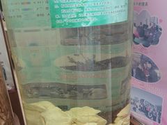 -北京鹿世界主题园