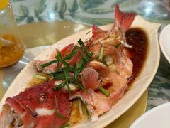 -四姑娘川味海鲜(八爪鱼店)