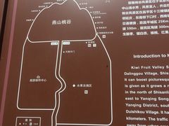 -大岭沟猕猴桃谷风景区