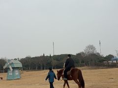 -武汉紫薇都市田园