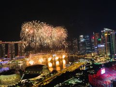 -新加坡瑞士史丹福酒店