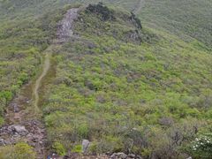-东天目山风景区