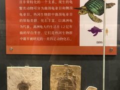 -大连自然博物馆