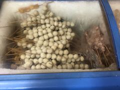 -马记大锅煮(总店)