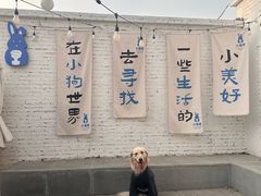 -小意思咖啡店(草桥店)