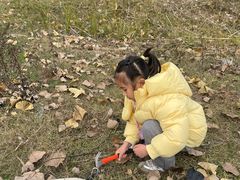 -盘龙城国家考古遗址公园