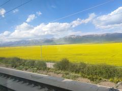 -清真·伊清阁餐厅