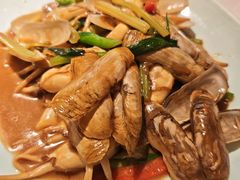 -宋小谨(惠安禹洲店)