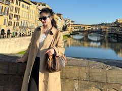 -圣母百花大教堂穹顶