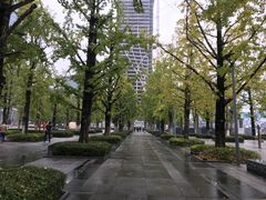 -百林公园-两江幸福广场
