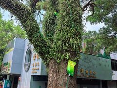 -广州市白云山风景名胜区